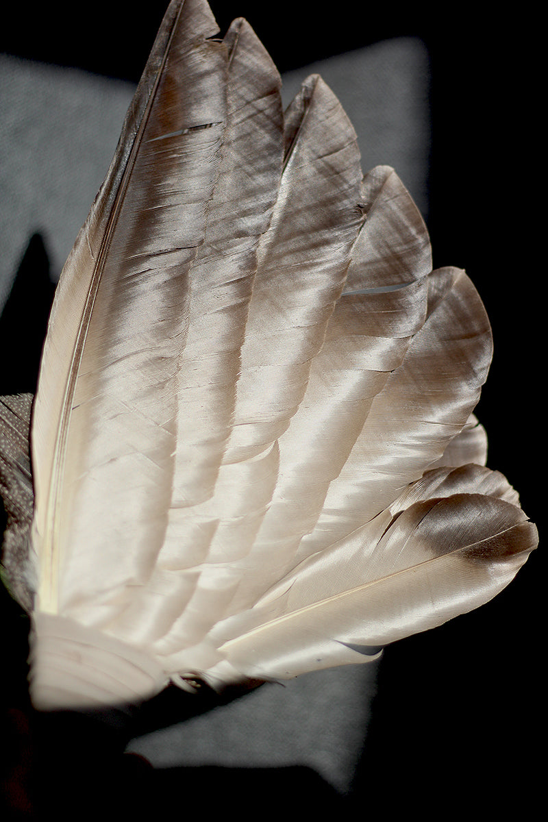 feathers smudge wand